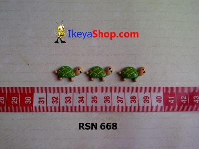 rsn 668  large2